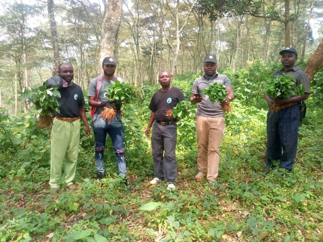Congo Biotropical Institute